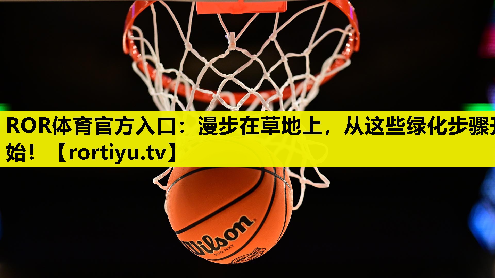 漫步在草地上，从这些绿化步骤开始！